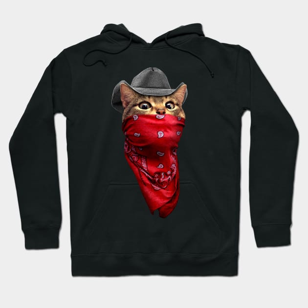 CATROBBER Hoodie by ADAMLAWLESS